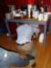 dsc04081_small.jpg