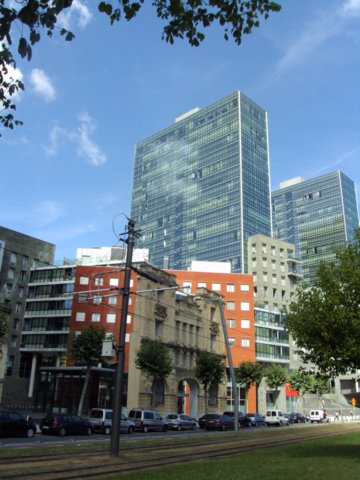 dsc05735.jpg