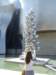 dsc05765_small.jpg