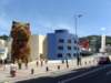 dsc05782_small.jpg