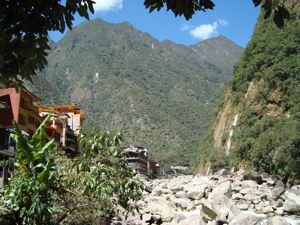 The Jungle