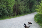 thumbs/DCP_2359.png