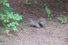thumbs/DCP_2364.png