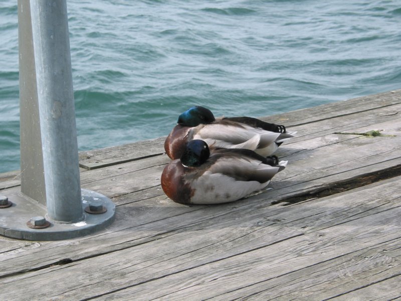 img_0071.jpg