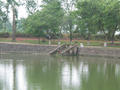 vn2_044.jpg (800x600)