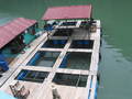 img_0023.jpg (800x600)