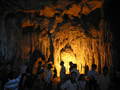 img_0039.jpg (800x600)