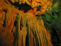 img_0045.jpg (800x600)