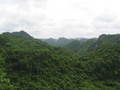 img_0085.jpg (800x600)