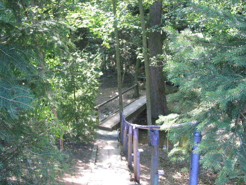 abridge.jpg