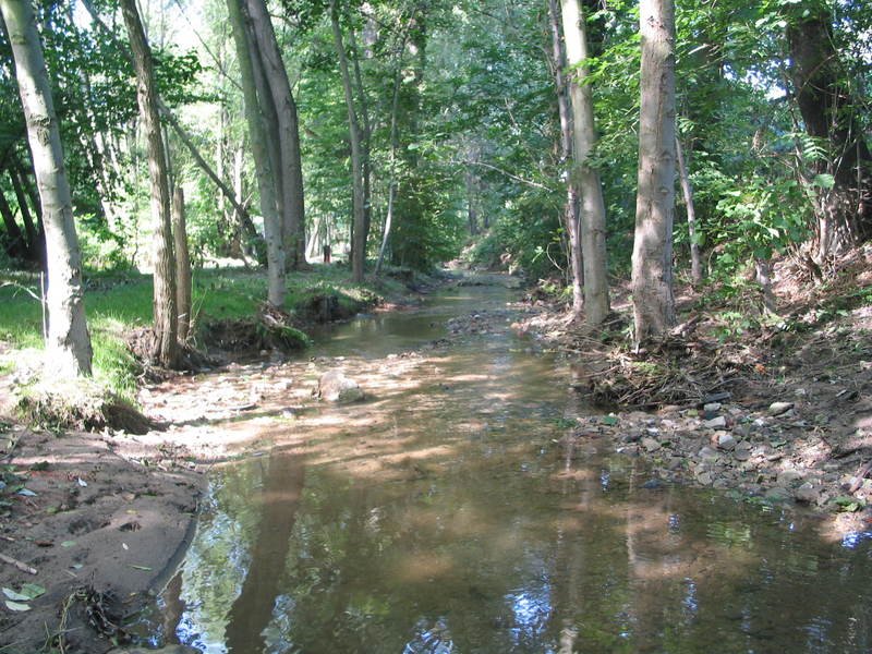 asmallriver.jpg