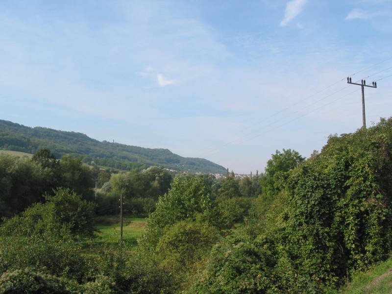 landscape4.jpg