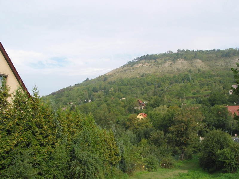 mybackyard.jpg