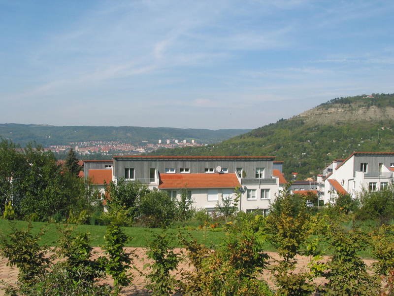 neighborhood2.jpg