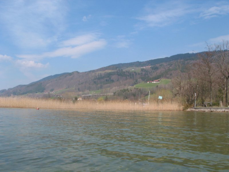 img_0515.jpg