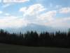 img_0531_small.jpg
