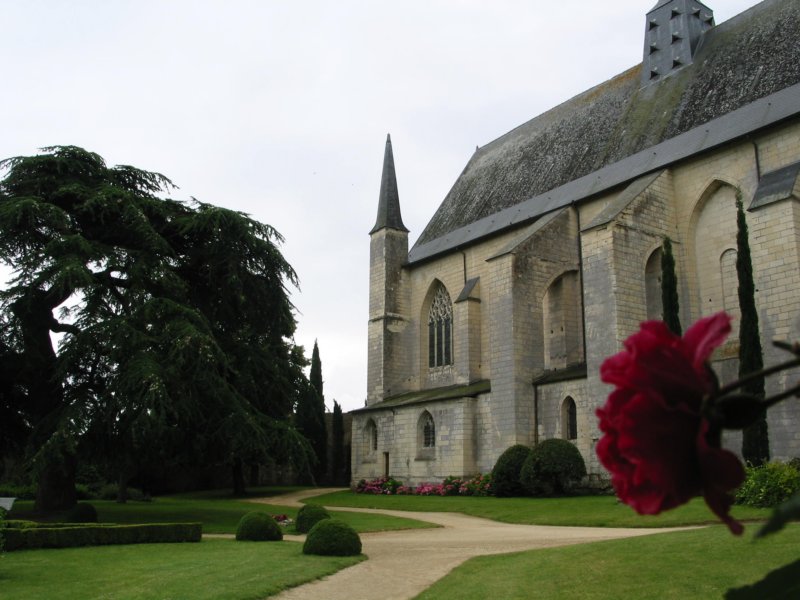 artphoto2.jpg