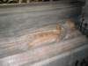 insidenotredame6_small.jpg