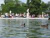 viewofparis17_small.jpg