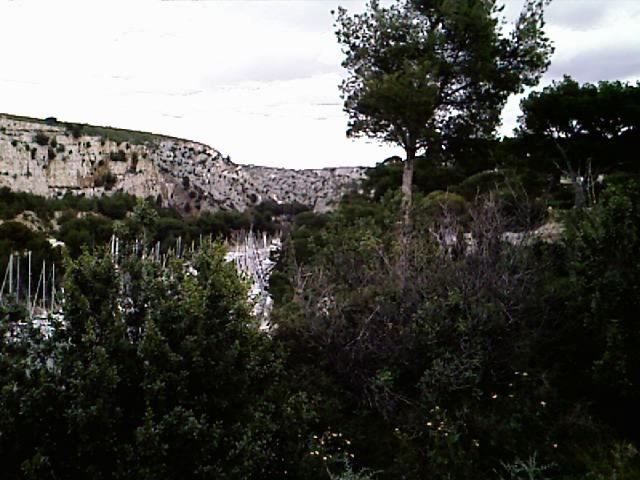 image_044.jpg