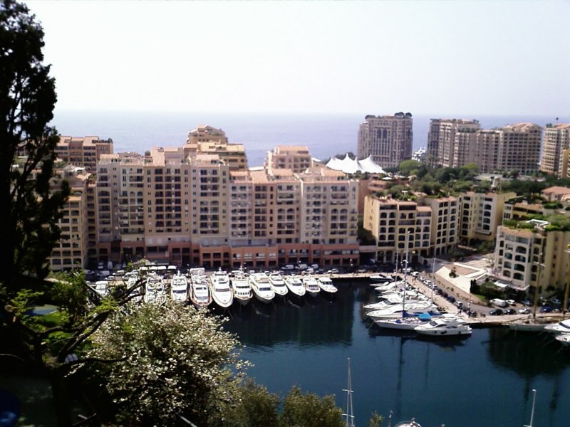 image_106.jpg