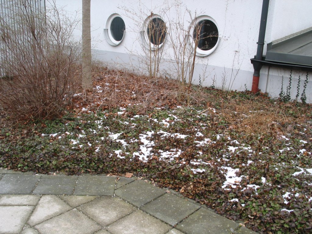 img_0100.jpg
