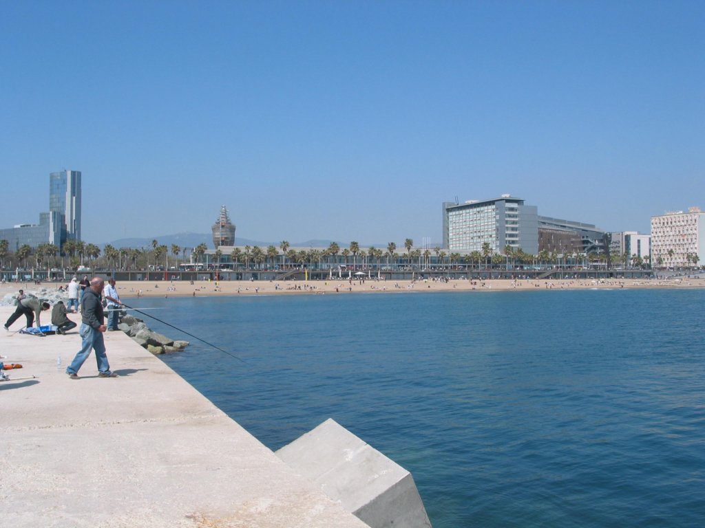img_0386.jpg