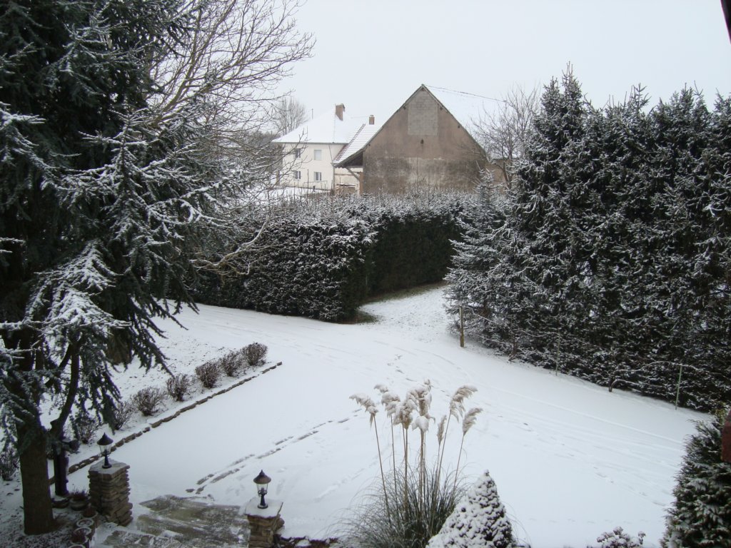myneighbourhouse.jpg