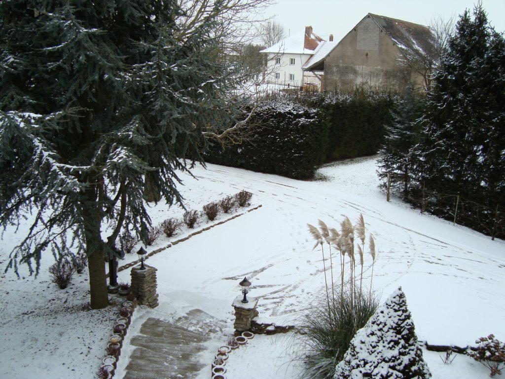thefrontofmyhouse2.jpg
